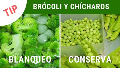 Brócoli blanqueado y chícharos para conserva, con textos informativos.