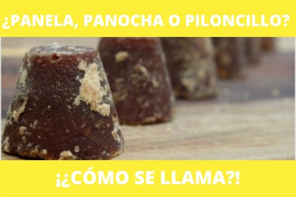 ¿Panela, panocha, piloncillo? ¡¿Cómo se llama en realidad?!