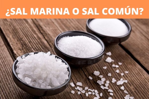 ¿Sal marina o sal común? Lo que necesitas conocer.