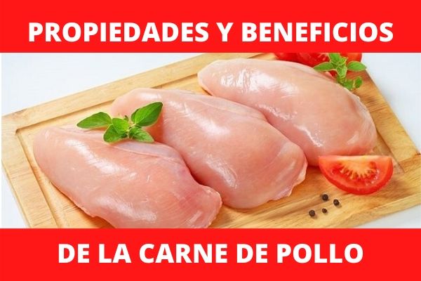 Propiedades y beneficios del pollo