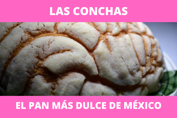 Las conchas, el pan más dulce de México